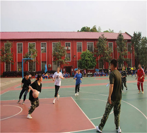 学生们的娱乐活动：篮球比赛